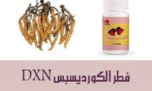 الكورديسبس من Dxn [فوائد خارقة لجسمك ] عالم دكسن